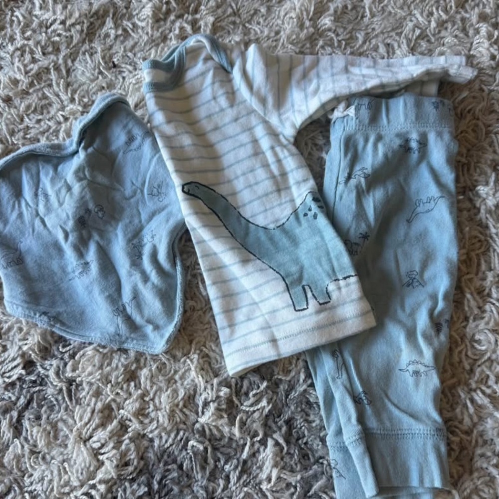 Dinosaur Set